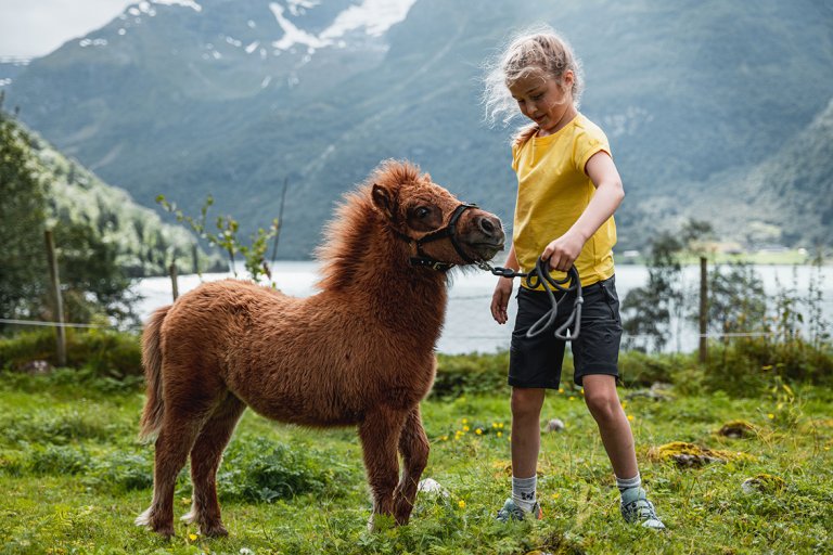 Barn som leker med ponnie