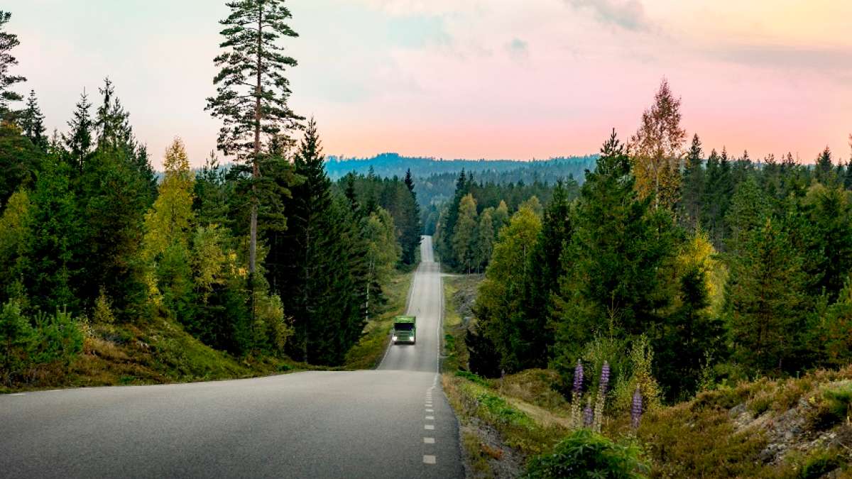 En Bring-lastebil på en vei gjennom en skog